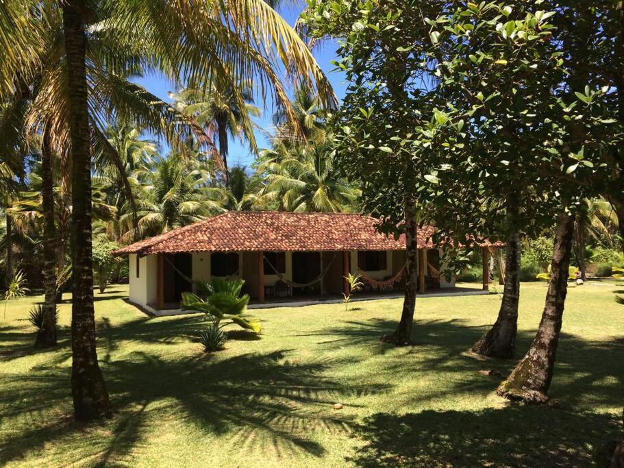 Casinha Jardim Das Palmeiras Morro de São Paulo Exterior foto